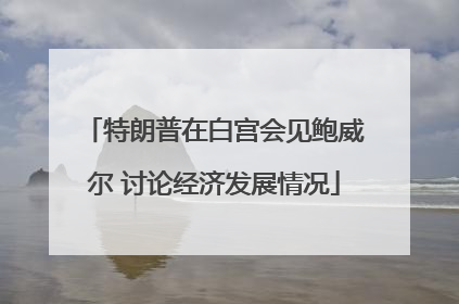 特朗普在白宫会见鲍威尔 讨论经济发展情况